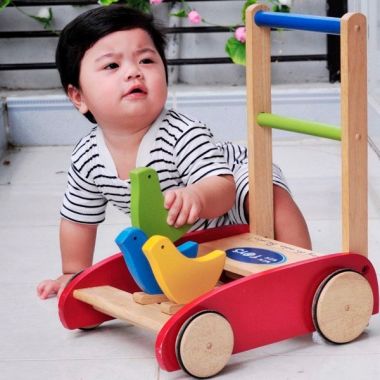 Xe tập đi con gà cao cấp winwintoys - G60012K